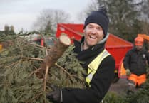 Eco-friendly Christmas tree recycling by hospice