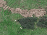 Huntsman fined after saboteurs film illegal hunt