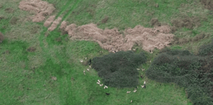 Trio charged after illegal hunting allegation