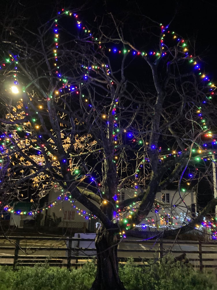 Some of Carhampton Community Orchard's Christmas lights.