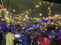 Magical moment as community orchard lights up