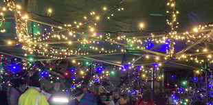 Magical moment as community orchard lights up