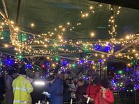 Magical moment as community orchard lights up