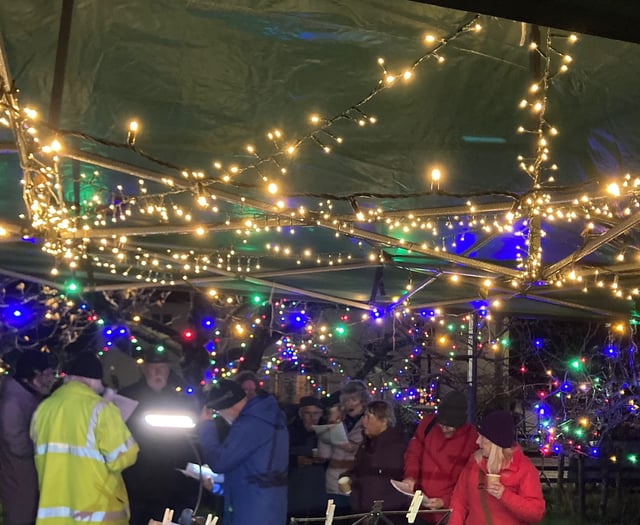 Magical moment as community orchard lights up