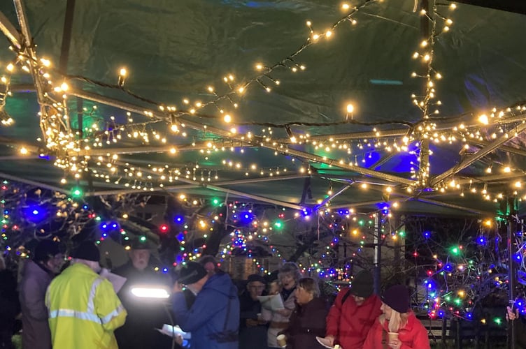 Multicoloured Christmas lights add a touch of magic to Carhampton Community Orchard.