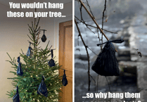 Exmoor visitors urged to stop hanging dog waste bags on tree branches