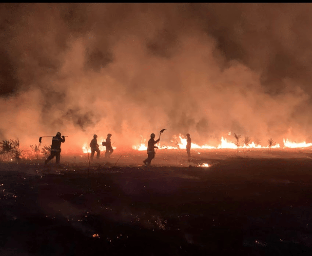 Arsonist strikes again on Christmas Day