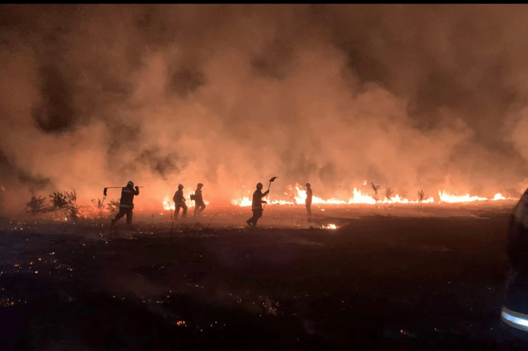 Devon and Somerset Fire and Rescue crews fighting a previous moorland blaze.