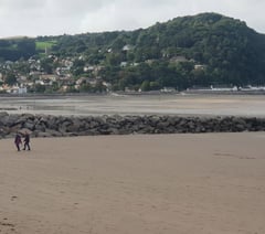 Don't swim warning for West Somerset beach