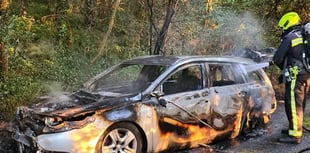 Car goes up in flames on main road