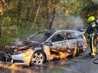 Car goes up in flames on main road
