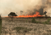 Arsonist hunt as police & fire officers warn deliberate fires being started on Exmoor