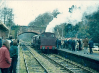 Steam railway celebrating 50th anniversary