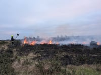 Arson fears as large new heathland blaze breaks out
