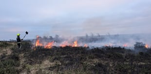 Arson fears as large new heathland blaze breaks out