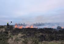 Exmoor common goes up in flames again as suspicions grow of arsonist on loose