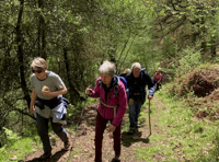 Celebration event for town's walking groups