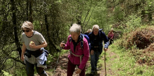 Celebration event for town's walking groups