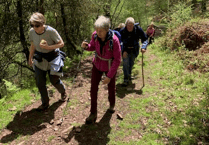Invitation for Wiveliscombe walkers to celebrate town's walking opportunities