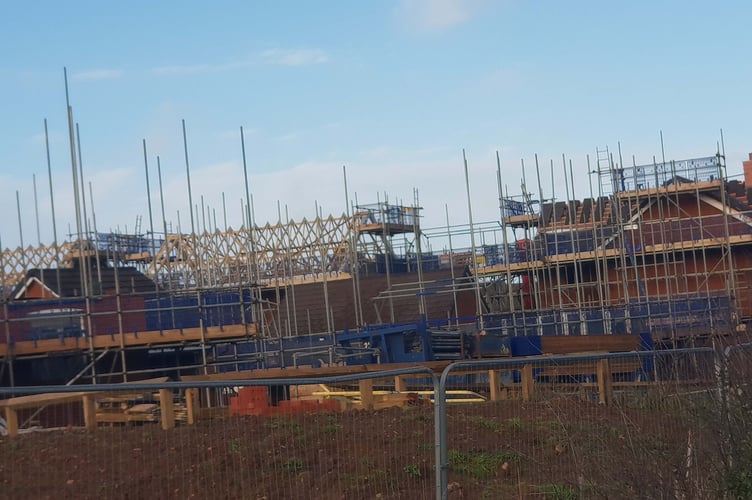 Eight years is what it would take to house everybody in Somerset in need of a one-bedroom home, councillors have been told.