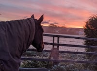 Racing has been hit by the freezing weather 