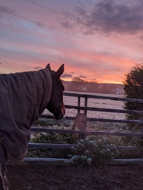 A cold morning and red sky at Pipe's Yard