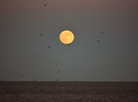 Letters from our readers