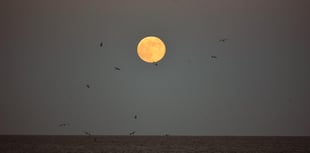 Letters from our readers