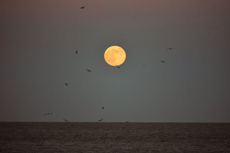 The Wolf Moon rising over Minehead Bay. PHOTO: Ed Browning
