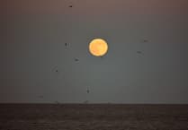 Letters from our readers