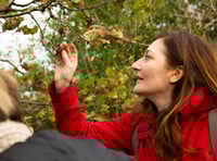 Look out for 'Signs of Spring'