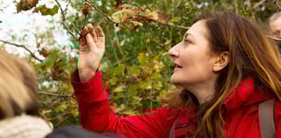 Look out for 'Signs of Spring'