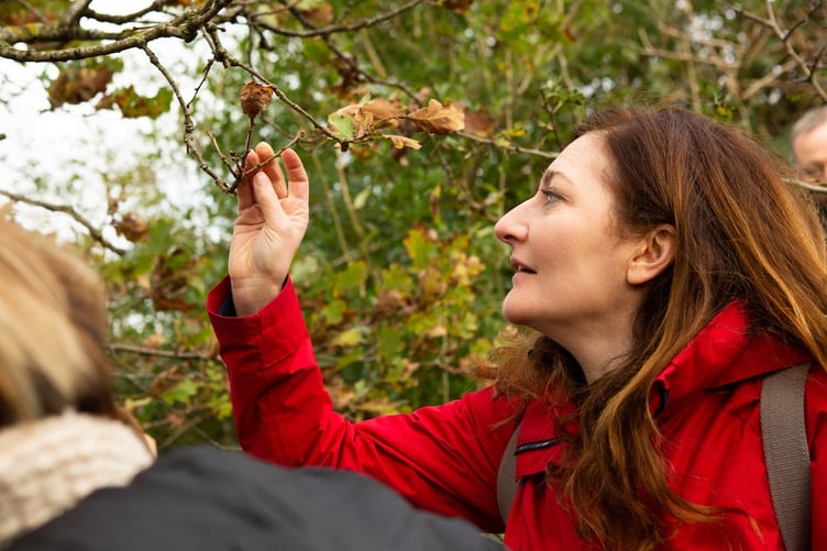 Looking for new buds on trees to show spring is on the way.