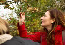 Education charity wants to hear of first sightings of spring in West Somerset