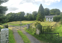 League Against Cruel Sports wants help to plant trees on Exmoor sanctuary