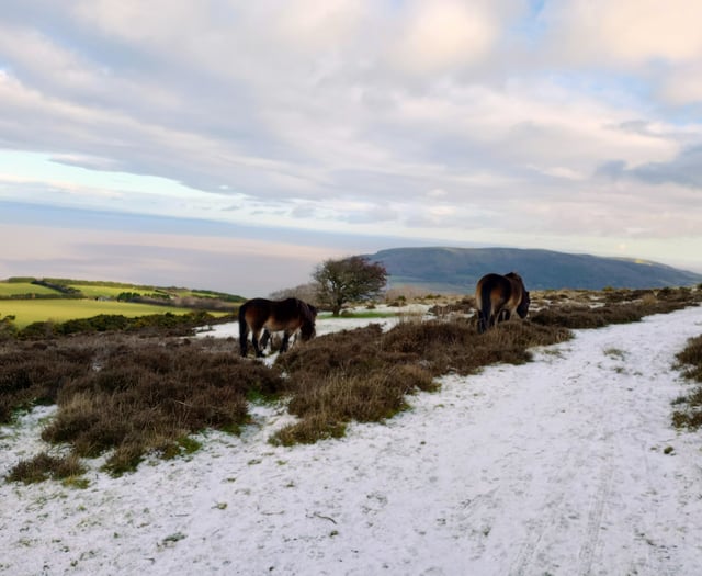 Community news from across West Somerset