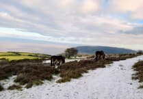 Community news from across West Somerset