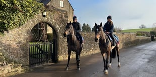 Three local winners at Taunton Races held in sunshine