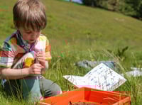 Nature festival seeks event hosts