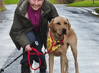 Dog and owner walking 100 miles for charity