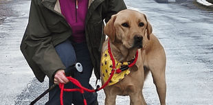 Dog and owner walking 100 miles for charity