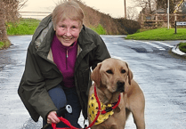 Hospice 100-mile challenge for Benji the Labrador and Alison the owner
