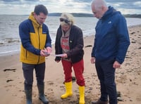 Water industry proposals too soft says MP