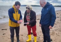 MP Rachel Gilmour says Government 'pulling punches' with water industry regulation