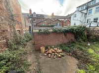 Auctioneers banking on vault interest