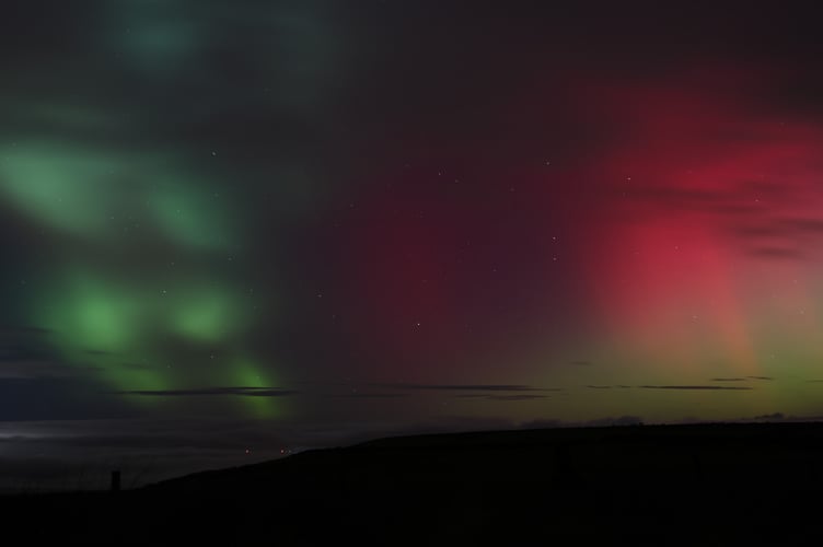 Bursts of green and red in Exmoor.