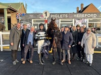 Golden Ace kick-starts racing season at Scott's Yard 