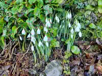 Letters from our readers across West Somerset