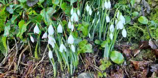 Letters from our readers across West Somerset