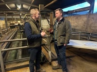 Farmers urge action in 'time of crisis'